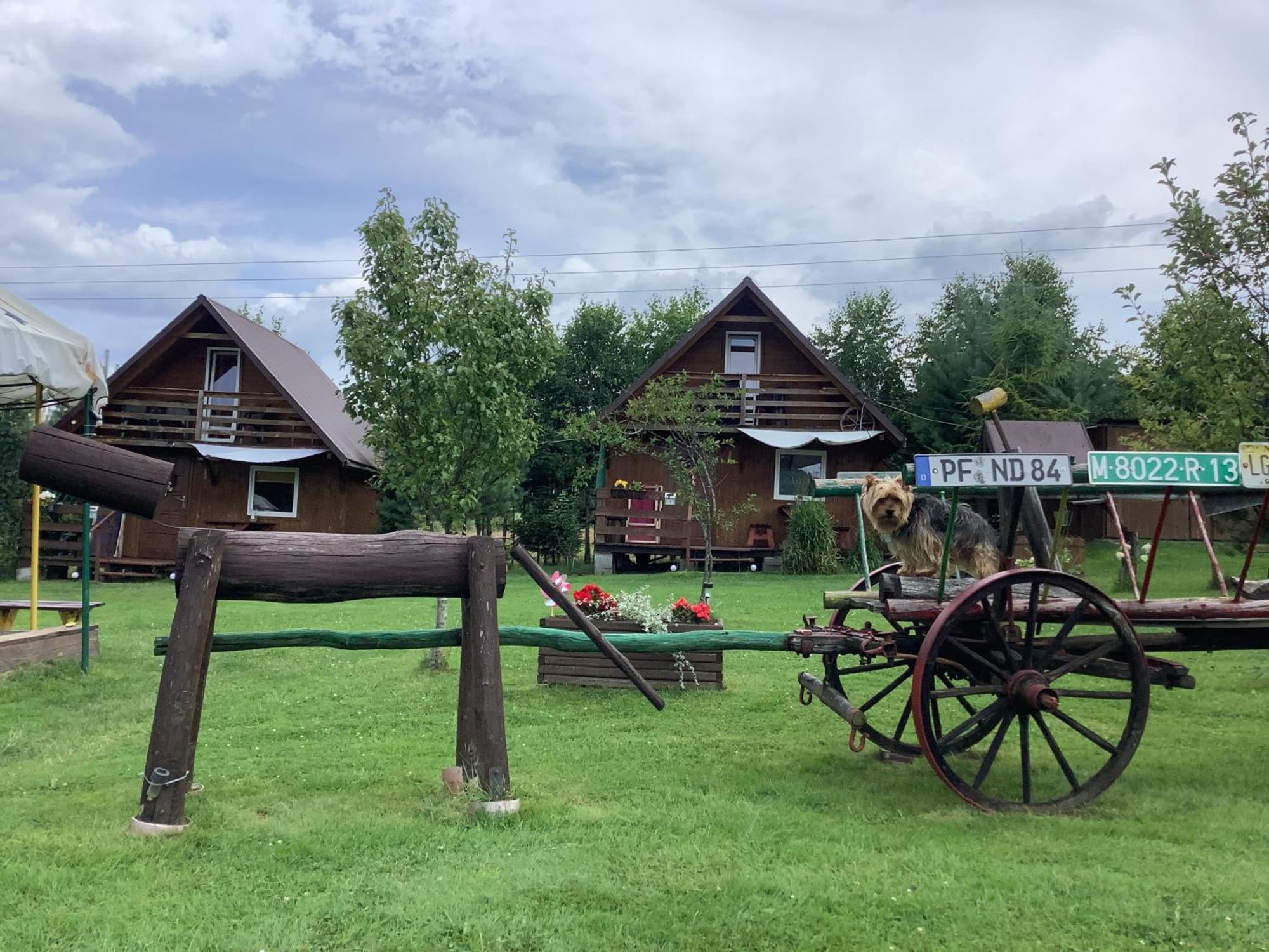 Domki Zacisze Solina  Exteriör bild