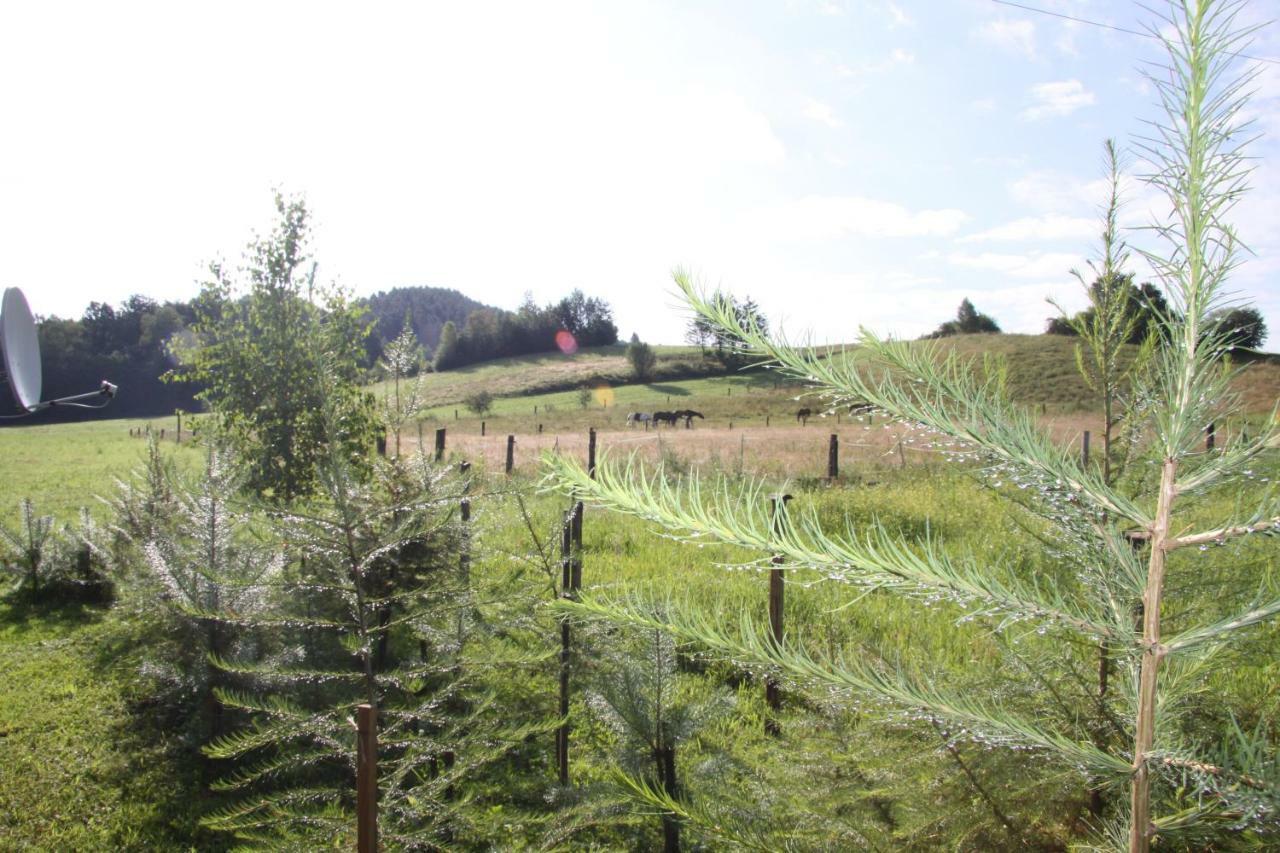 Domki Zacisze Solina  Exteriör bild